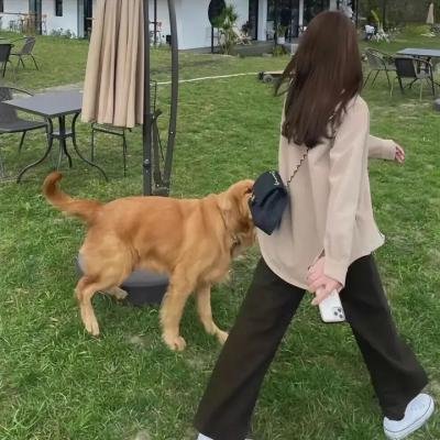 女校男生第一季